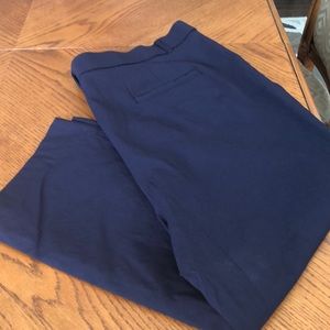 Rafaela navy capris size 22W